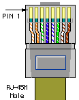 rj45 male